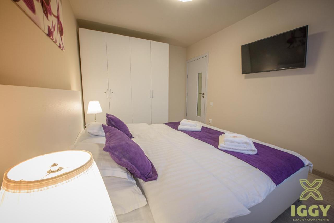 חונדוארה Iggy Luxury Apartment מראה חיצוני תמונה